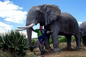 Erster Kontakt mit der afrikanischen Tierwelt